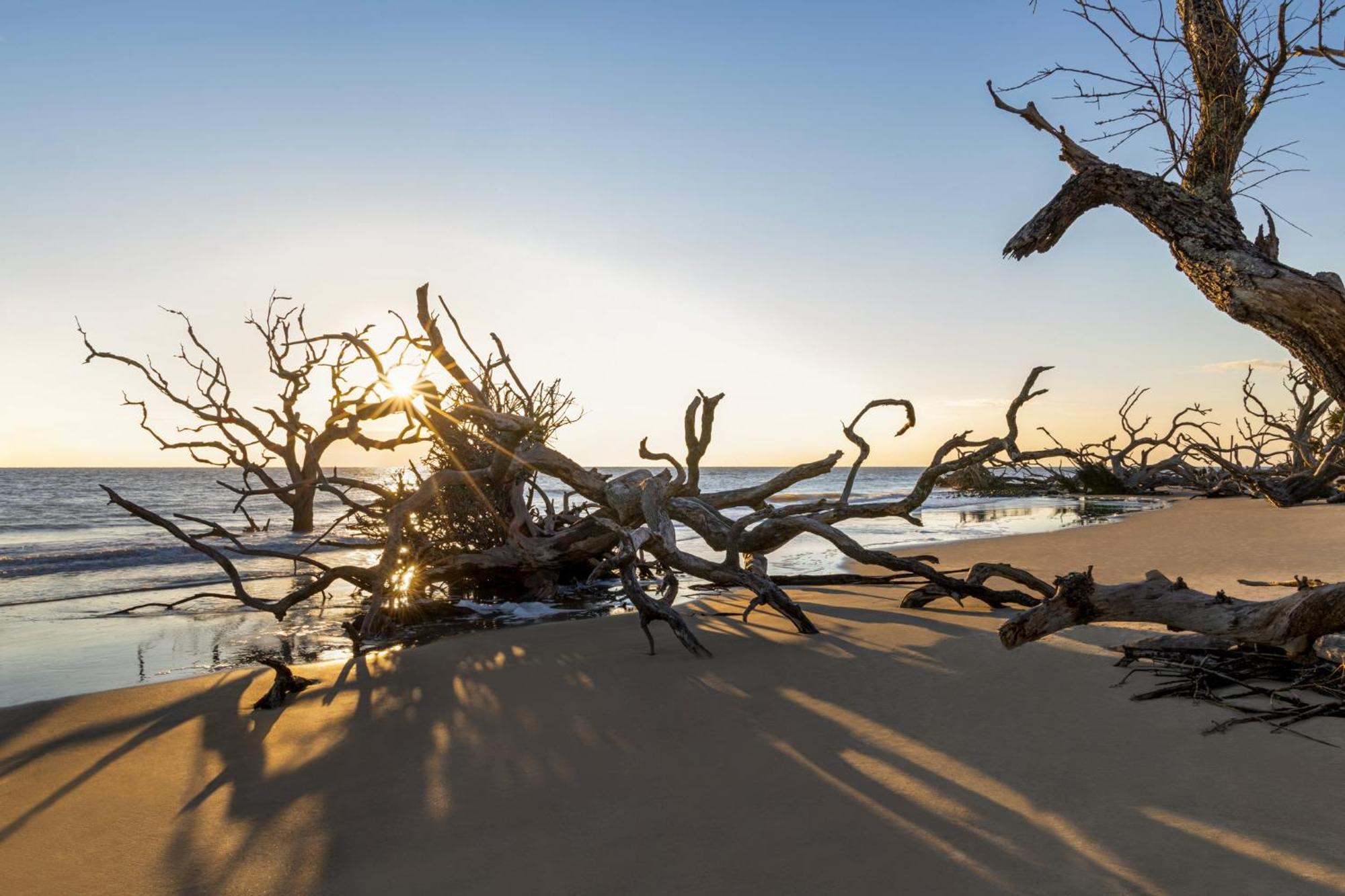 Holiday Inn Resort Jekyll Island By Ihg Kültér fotó