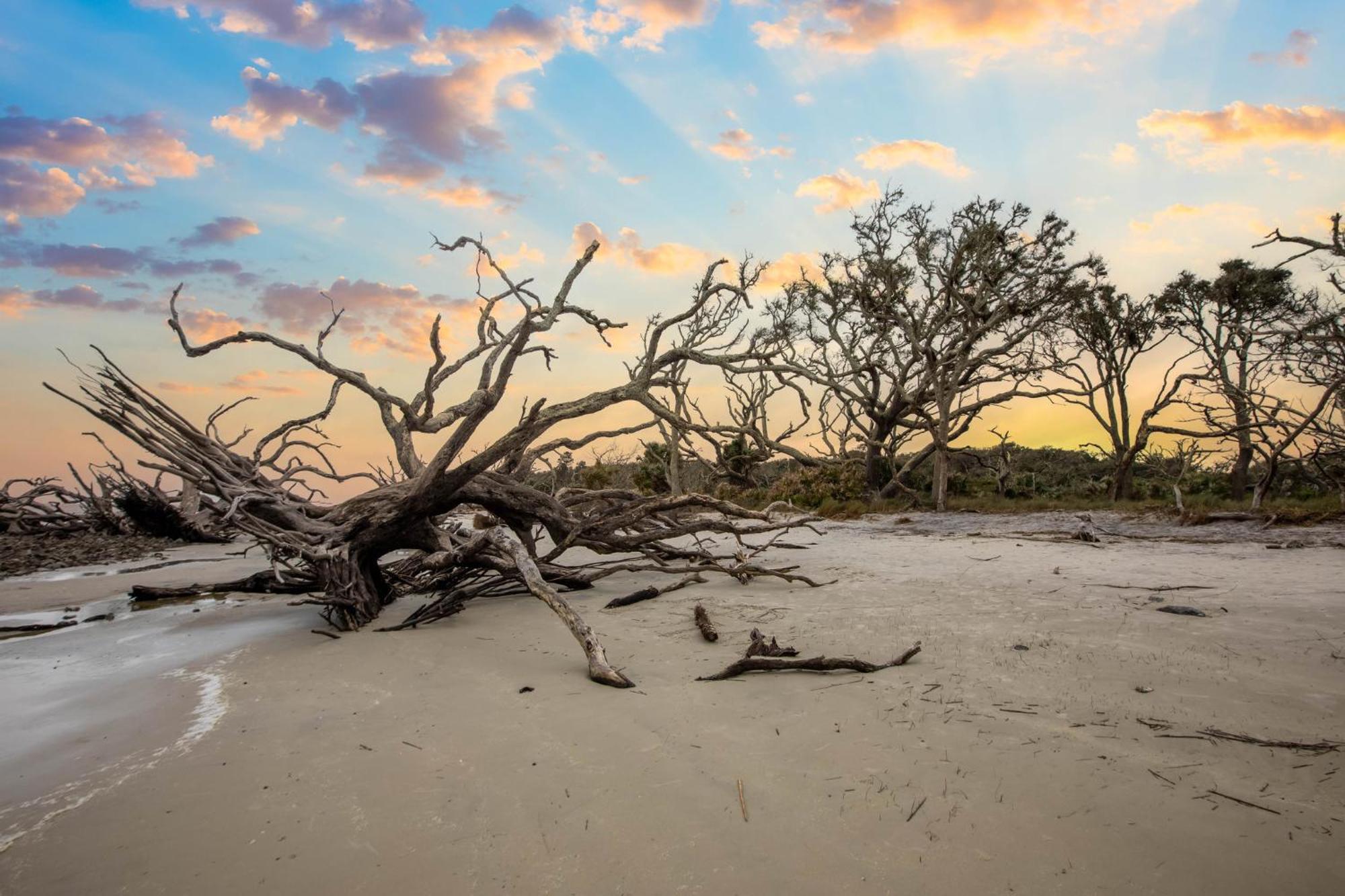 Holiday Inn Resort Jekyll Island By Ihg Kültér fotó